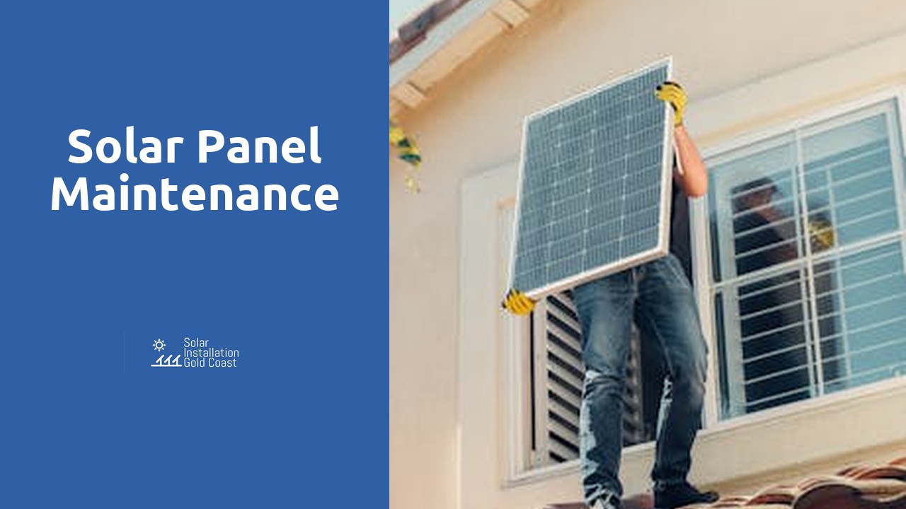 Solar Panel Maintenance